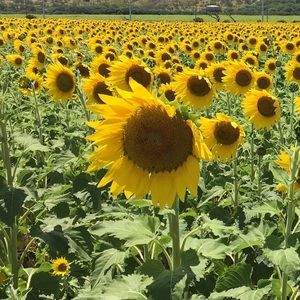 Meet your Posher, Karie